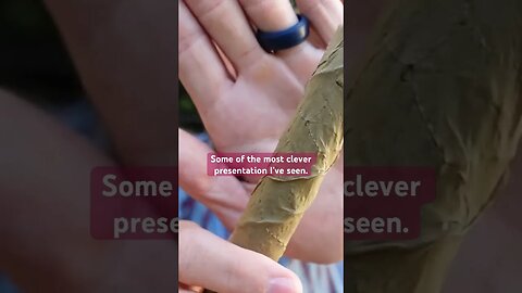 VERY Clever Presentation #cigar #cigars #luxury #clever