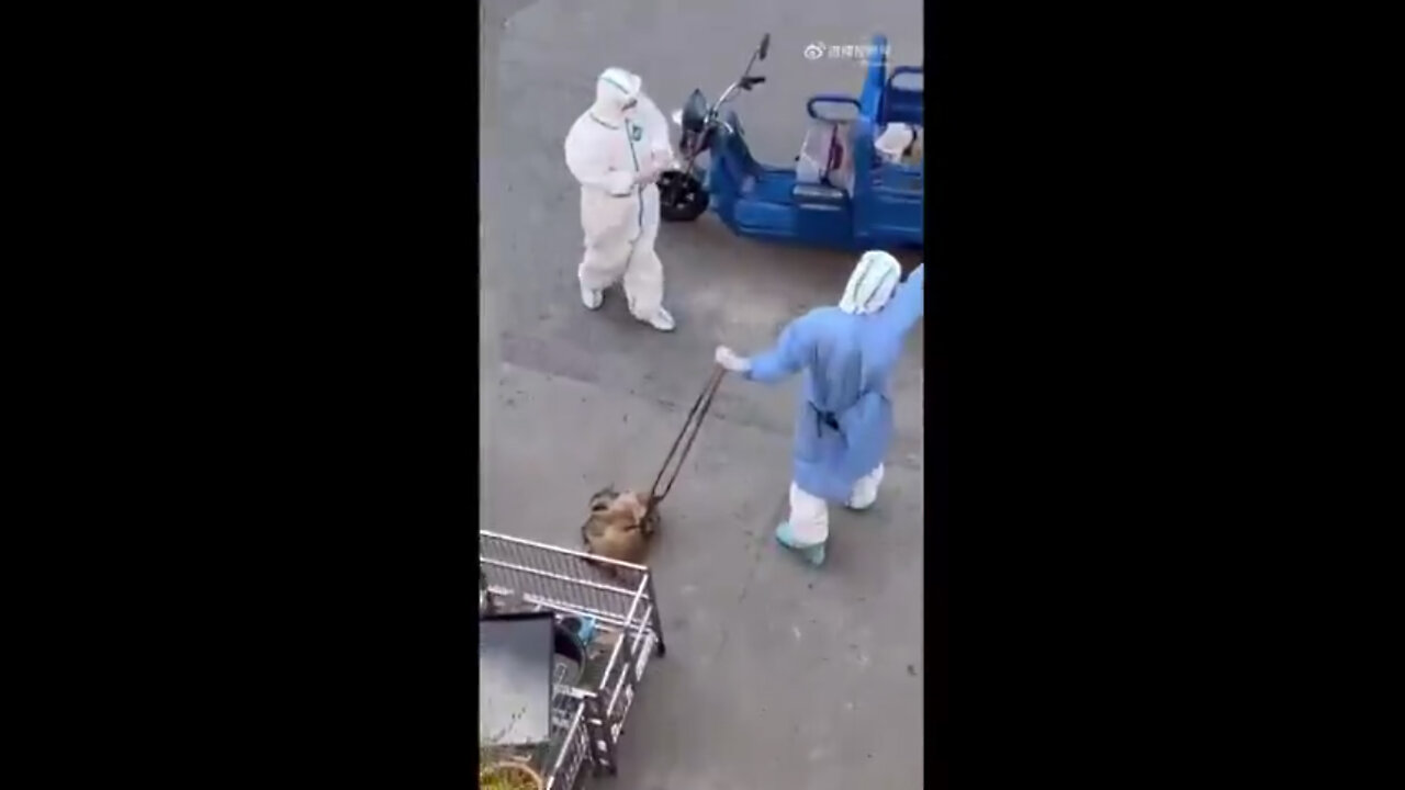 La realidad del encerramiento en Shangai, China.