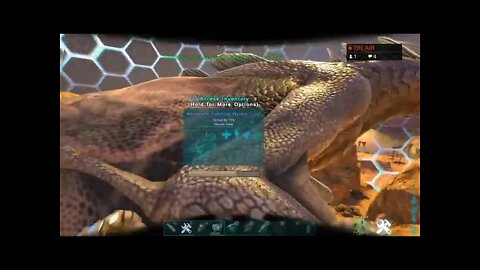 My second wyvern