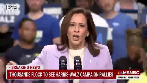 ‘Never Trumpers’ line up to support Vice President Kamala Harris in 2024 election