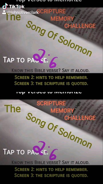Top Verses To Memorize, Song of Solomon 2:6