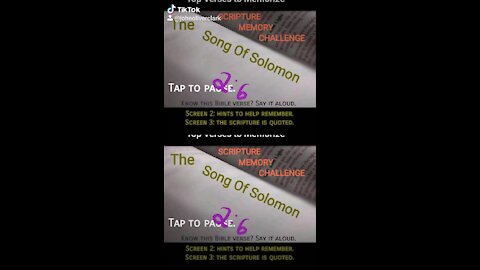 Top Verses To Memorize, Song of Solomon 2:6