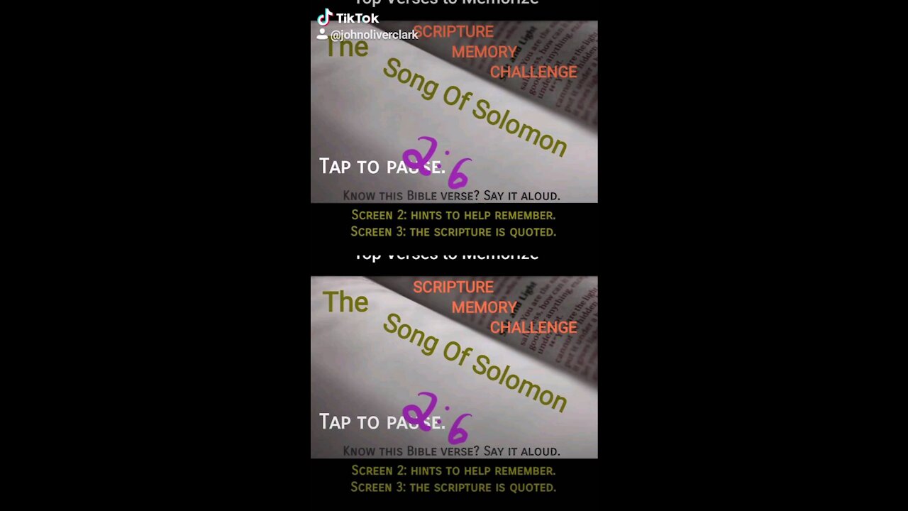Top Verses To Memorize, Song of Solomon 2:6