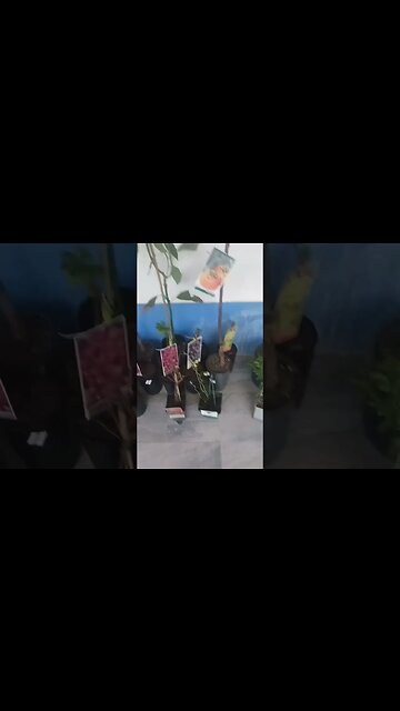 To a bright and fruitful future. 🍻 🪴 🌱 🌿 🌵 Operation Lighthouse x Adamastera