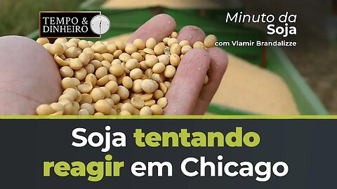 Soja tentando reagir em Chicago