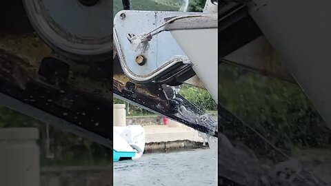 Sailing Cruiser Must Know How To Do 3 #shorts