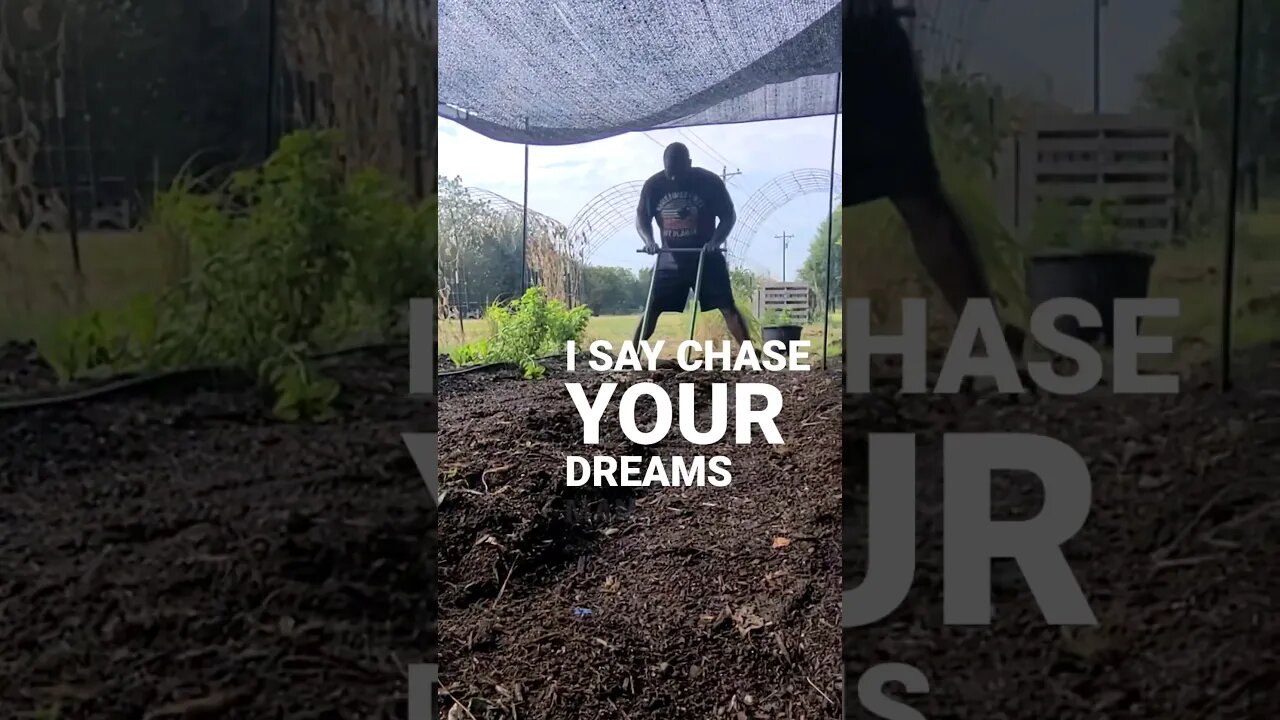 Chase Your Dreams