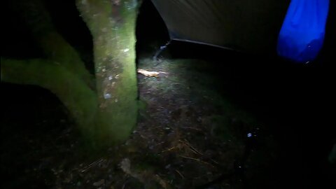 My tarp set up at night 23rd March 2023
