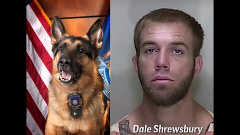 Ocala Florida police dash cam high speed chase k9 bites car thief Dale Shrewsbury