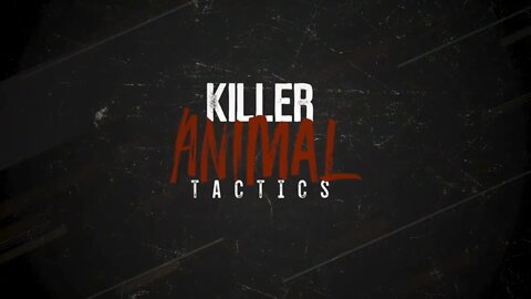 National Geographic Wild Killer Animal Tactics Open Example @ABR Entertainment