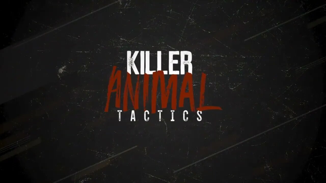 National Geographic Wild Killer Animal Tactics Open Example @ABR Entertainment
