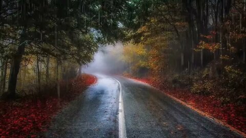 Light Rain Sounds for Sleeping, Soothing Rain, Rain Sounds to Sleep, Relax, Study, Beat Insomnia