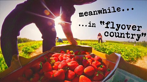 A Summer Saturday in "Flyover Country"