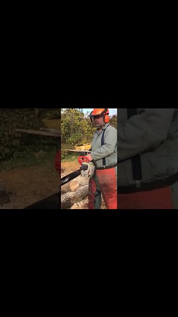 Sharp Chainsaw in Action #shorts
