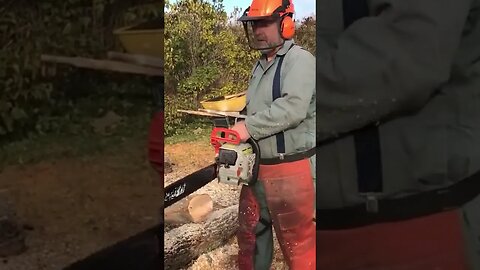 Sharp Chainsaw in Action #shorts