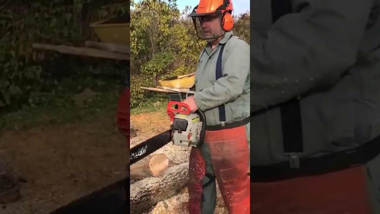 Sharp Chainsaw in Action #shorts