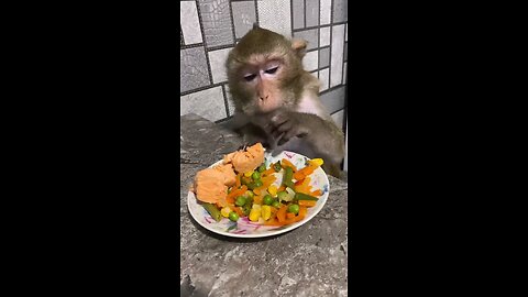 Why is it that sound of people eating so annoying but animals eating so cute?