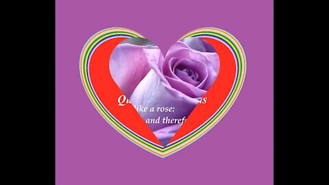 My feelings for you is like a rose: Do not have thorns, Will never hurt you! [Quotes and Poems]