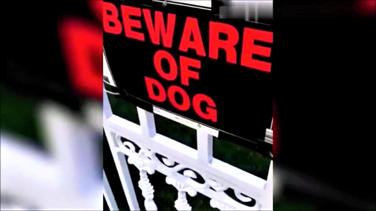 Beware of Dog He's Off His Medication!