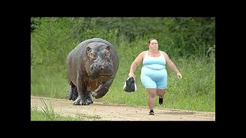 Wild Animal Encounters: Shocking Rampages Caught on Camera!