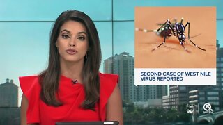 2nd case of West Nile virus in Palm Beach County prompts mosquito-borne illness alert