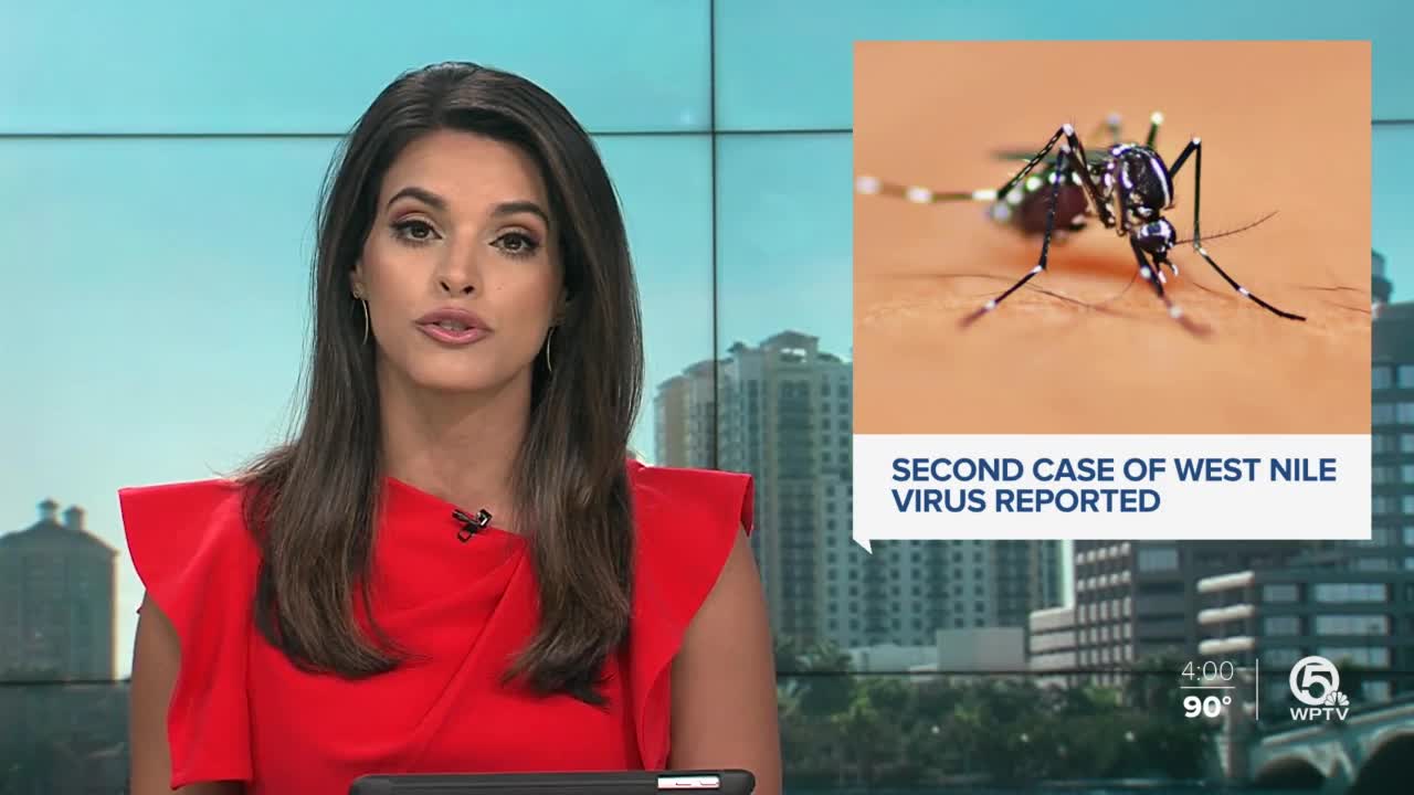 2nd case of West Nile virus in Palm Beach County prompts mosquito-borne illness alert