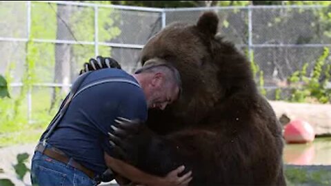 Animals Reunited With Their Owners After Years!