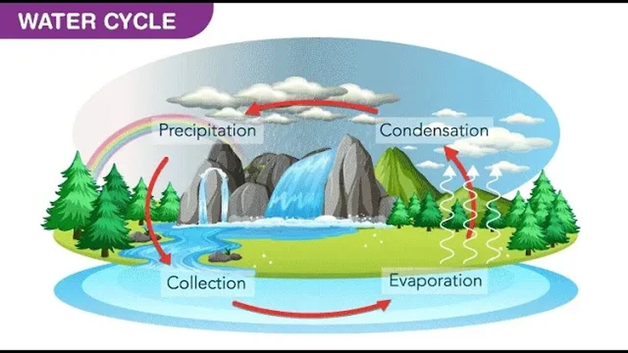 Water cycle in Simple words #education #watercycle #school #class #onlineclasses