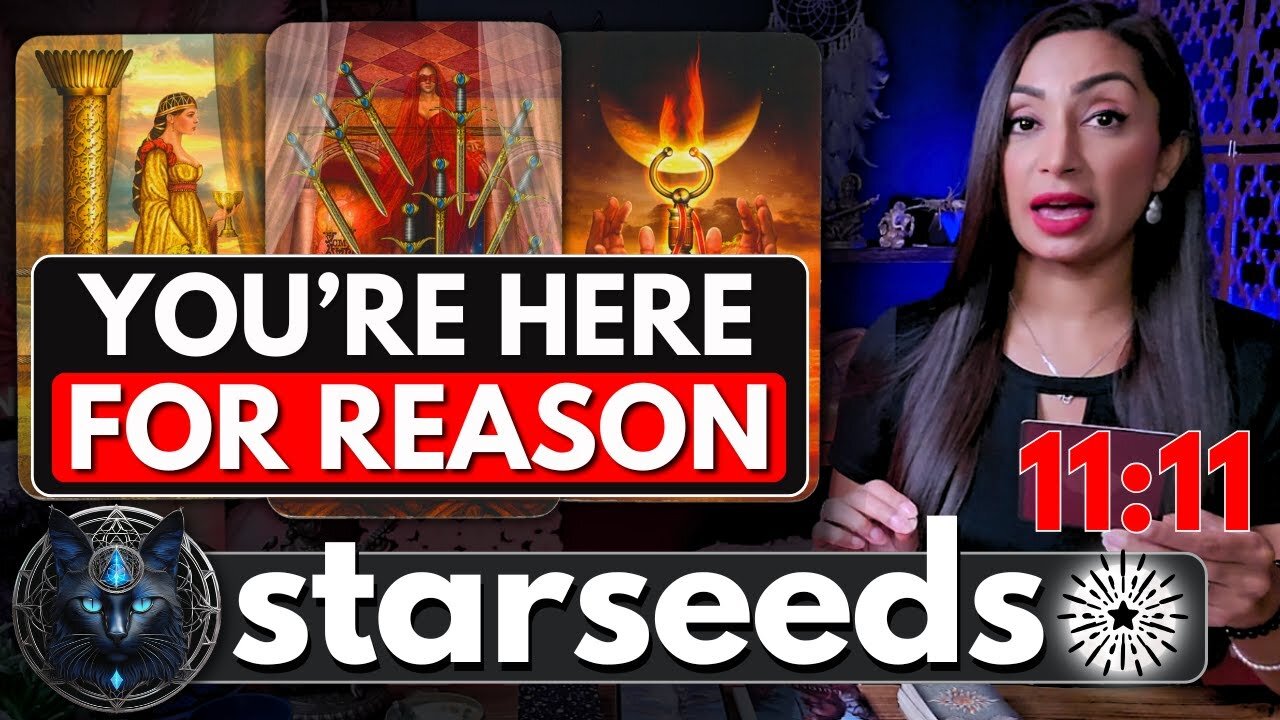 What's Going On In Your Life Has A Bigger Reason Behind It! 🐞 ☾₊‧⁺˖⋆