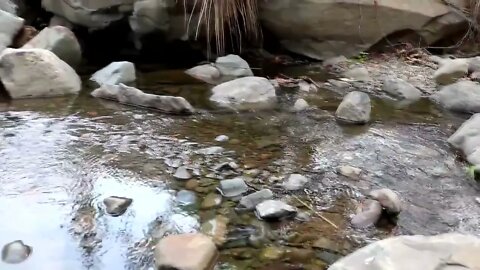 Catching crab in water & crab boiled on clay for food - Cooking crab eating delicious #18-1