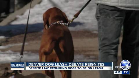 Denver dog leash debate reignites, despite law requiring dogs to be on leash
