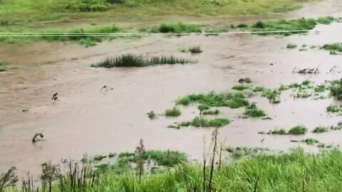 past Flood check day 7 - Mar 8