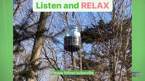 CHIRPING - Peaceful for eyes and ears