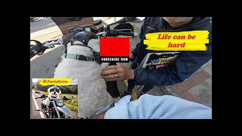Life can be hard at 76 on the streets