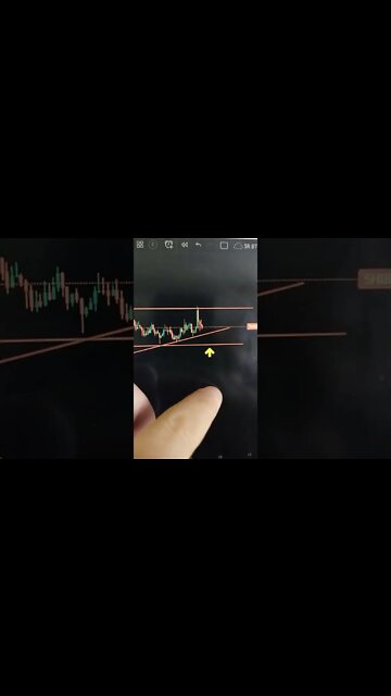 SHIBA INU - Crypto #shorts