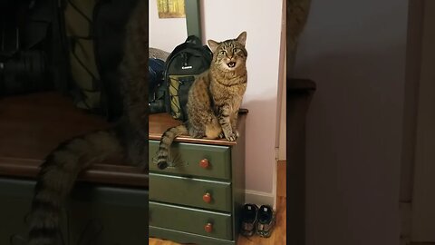 He is hungry. . . .Again!