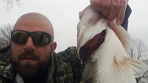 Big BASS