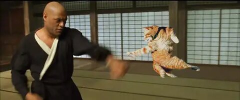 Is every cat a kung fu master?