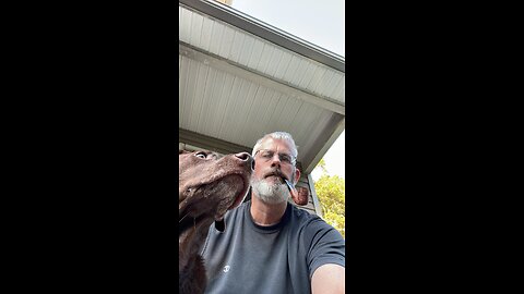 Doggy days