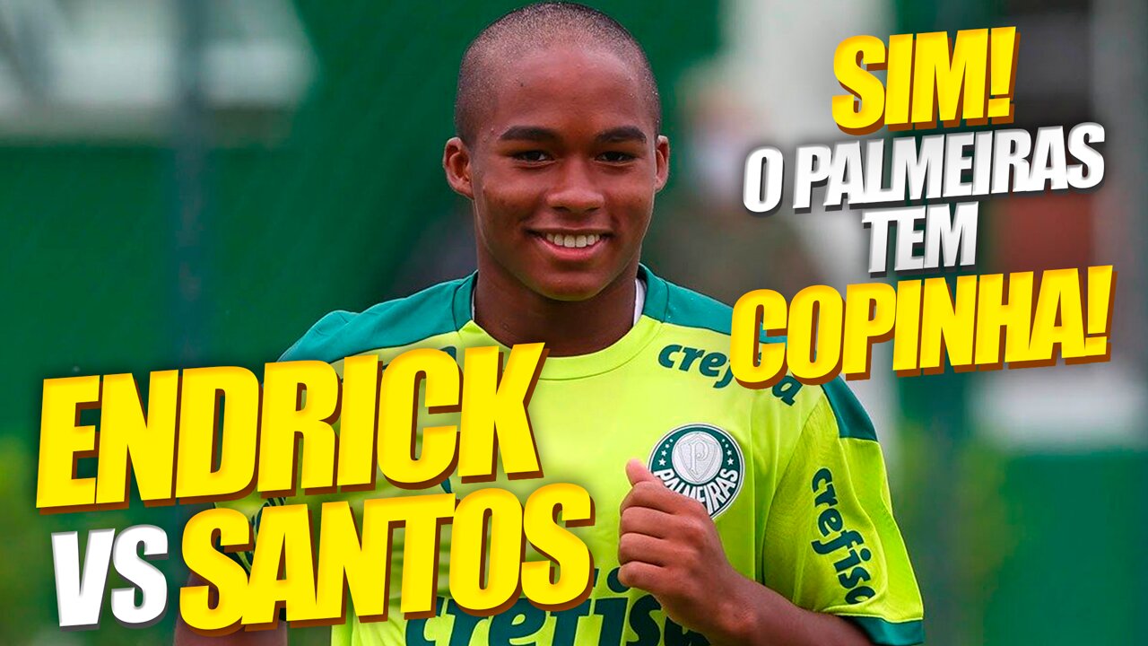 ENDRICK vs SANTOS | MELHORES MOMENTOS | VERDÃO TEM COPINHA | PALMEIRAS VS SANTOS