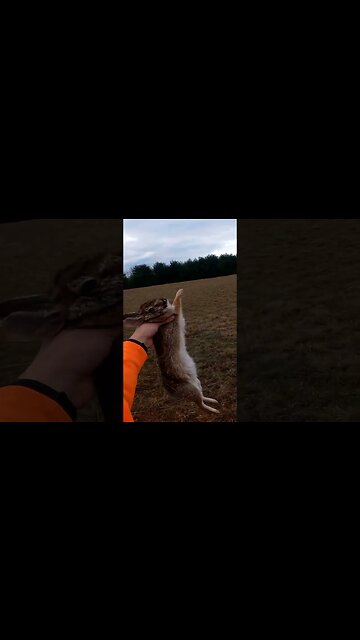 He'll Make a Nice Meal