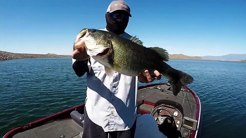 Throwback - 6.5 lber Diamond Valley Lake, Lake Hemet, CA