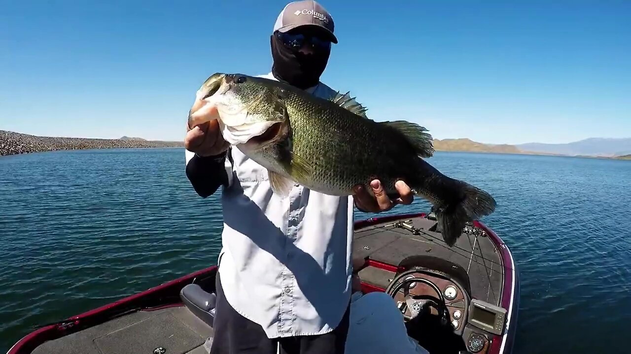 Throwback - 6.5 lber Diamond Valley Lake, Lake Hemet, CA