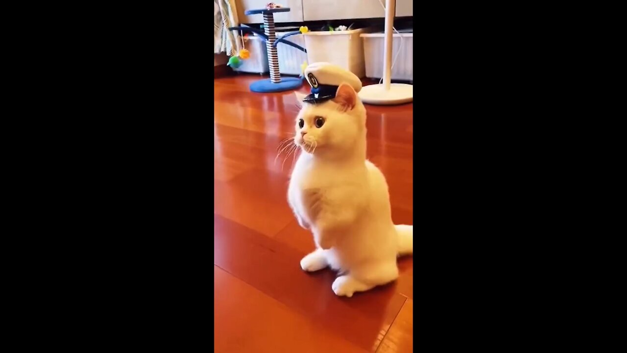 HII Good Morning!!!!