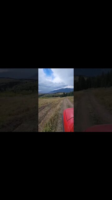 Section of the Continental Divide trail. Between Idaho and Montana.
