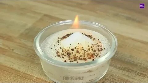Best 33 AMAZING SCIENCE EXPERIMENTS || Compilation | Best of the Year #ScienceExperimentWonders