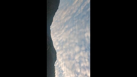 Nature View
