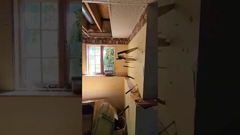 I found a disturbing abandoned neighborhood in illinois