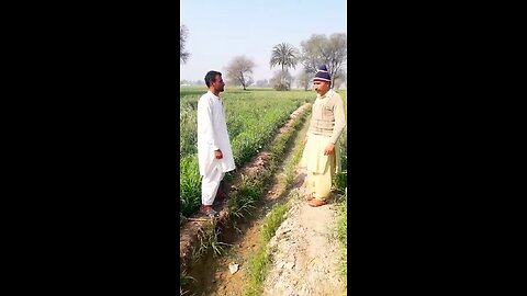funny clip