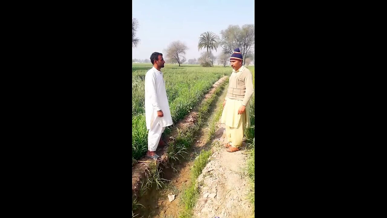 funny clip